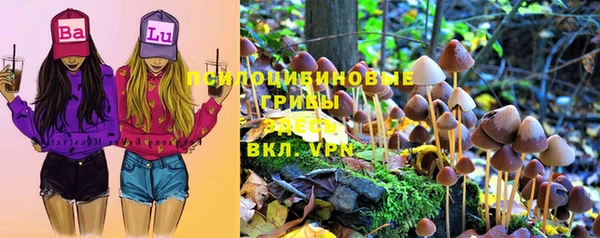 прущая мука Белокуриха
