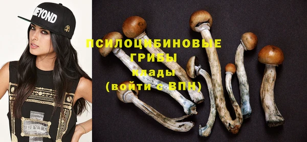 стаф Беломорск