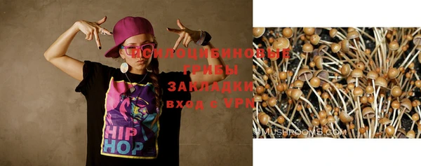 прущая мука Белокуриха