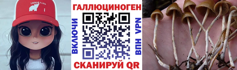 ссылка на мегу ссылка  Озёры  Псилоцибиновые грибы GOLDEN TEACHER 